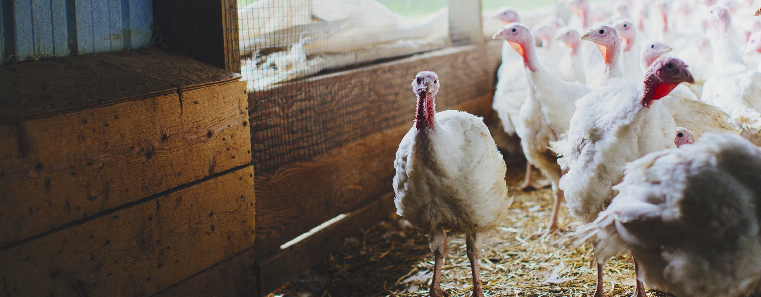 About Us - Our success is bound by the relationships we nurture.