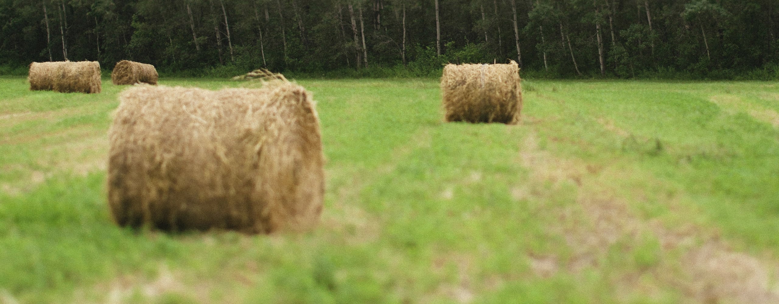Corporate Giving - Round hay bails in a field